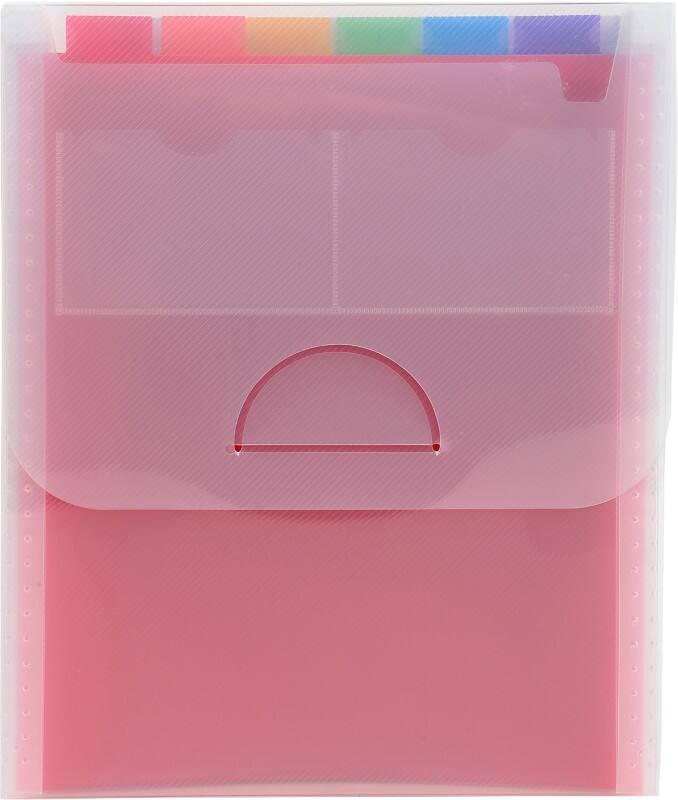 Exacompta Fächermappe 55798E DIN A4 Transparent Recyceltes Polypropylen 25,5 x 30,5 cm 5 Stück