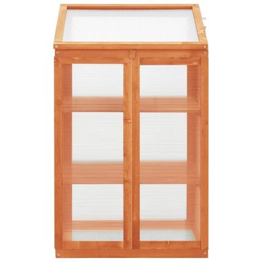 vidaXL Gewächshaus Gewächshaus 60x45x100 cm Tannenholz