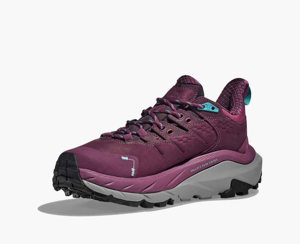 Kaha 2 lav GORE-TEX Grapewine/Coastal Shade