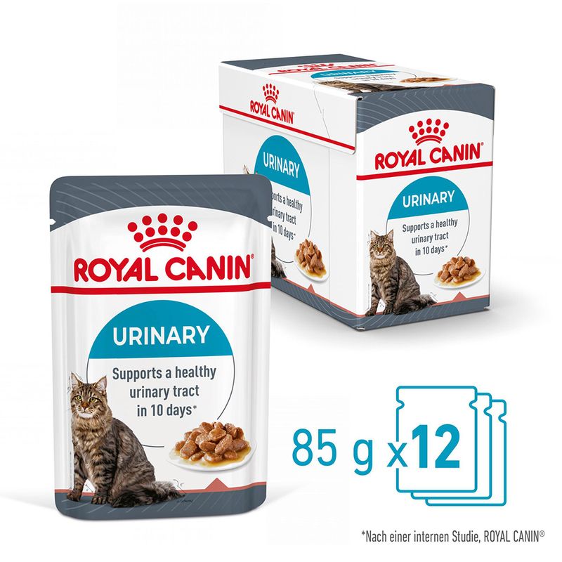 Royal Canin Urinary Care in Soße zu TOP-Preisen