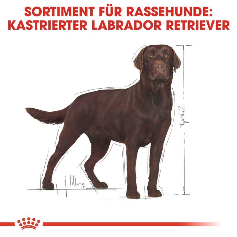 ROYAL CANIN Hundetrockenfutter ROYAL CANIN Labrador Adult Sterilisiert 12 kg