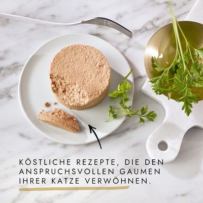 Mixpaket Gourmet Gold Feine Pastete 48 x 85 g