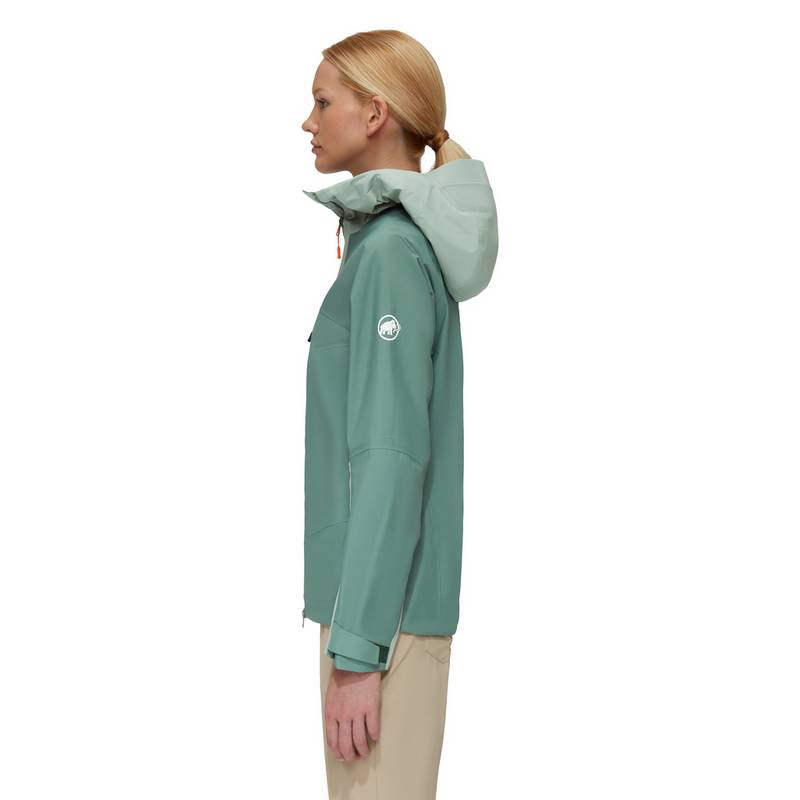 Mammut Taiss Hooded Hardshelljacke Damen