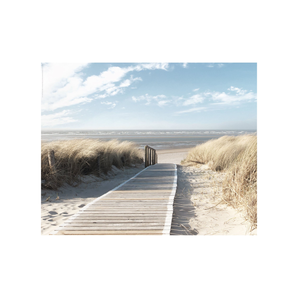 Bild Weg zum Meer