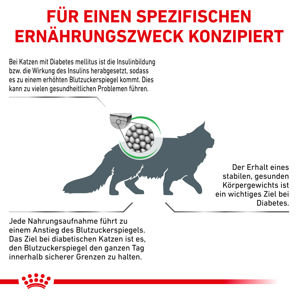 ROYAL CANIN Veterinary DIABETIC Trockenfutter für Katzen