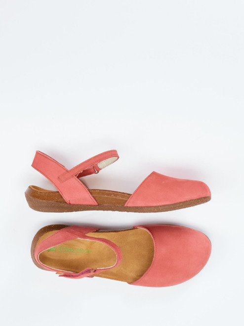 Slipper-13115390001 El Naturalista
