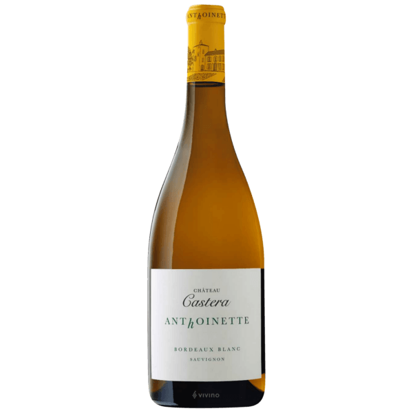 Château CasteraAnthoinette Bordeaux Blanc 2022