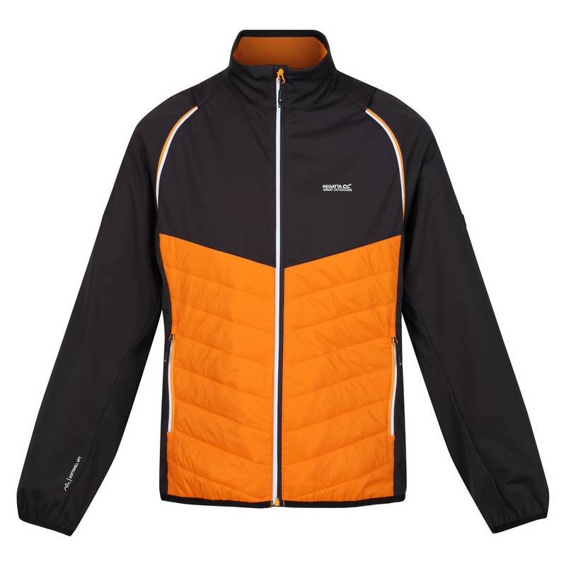Regatta Steren Funktionsjacke Herren