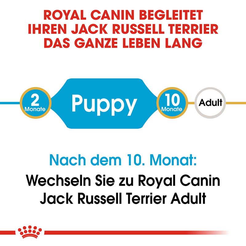 Royal Canin Jack Russell Puppy