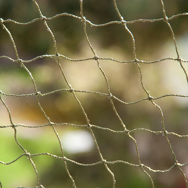 Katzenschutznetz mit Drahtverstärkung zu TOP-Preisen | bitiba %