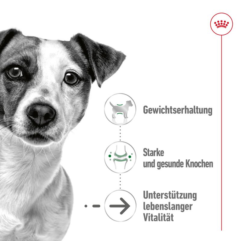 Royal Canin Mini Ageing in Soße