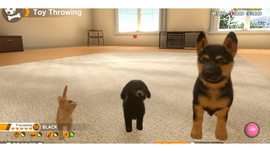 Little Friends - Dogs & Cats