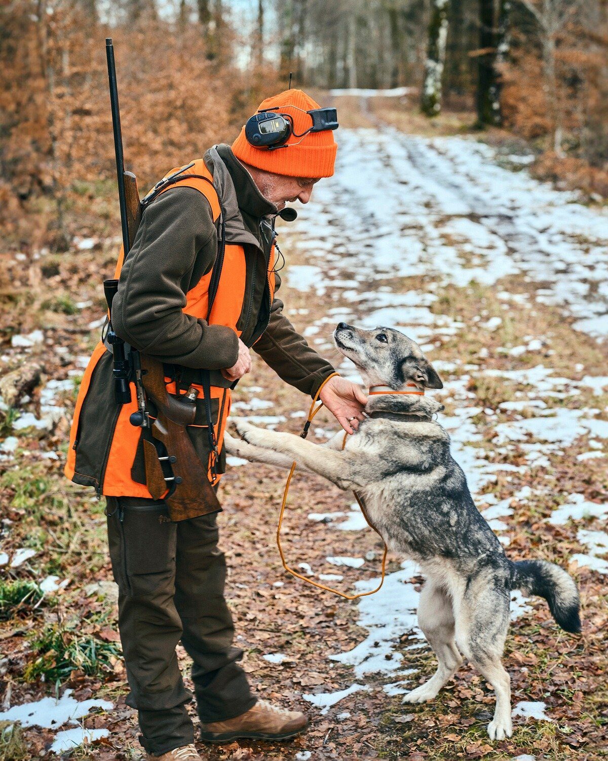 Pinewood Warnweste Weste Doghandler