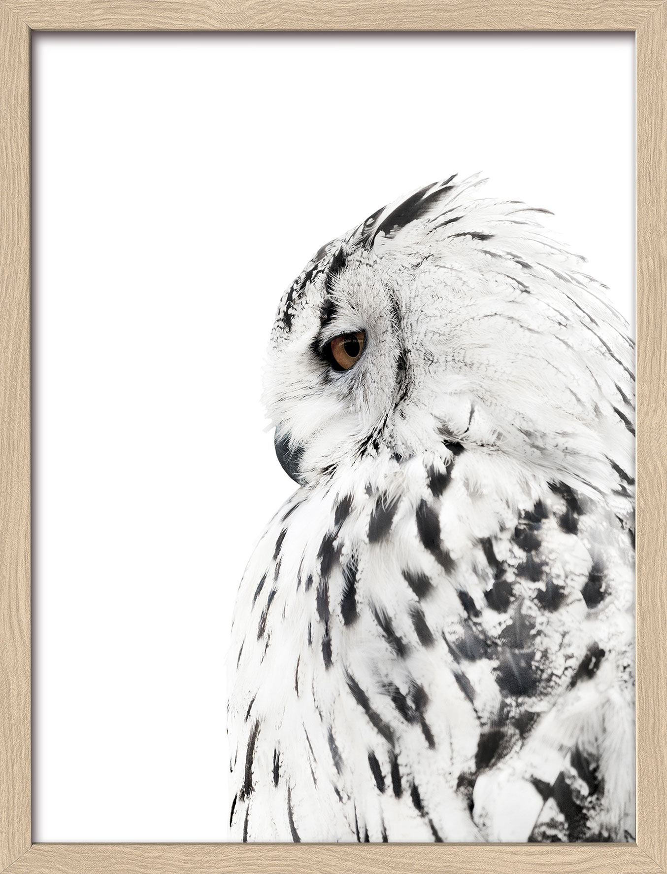 Pro ArtKunstdruck gerahmt 32,5x42,5cm