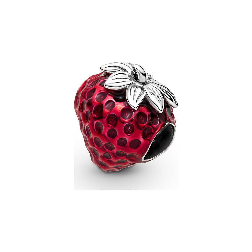 Pandora Charm Moments