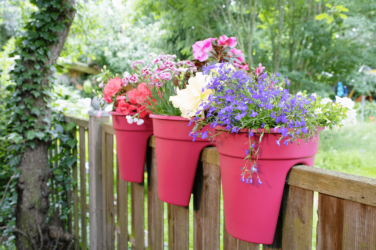 KHW Geländerblumentopf Flowerclip, 3er Set, beere