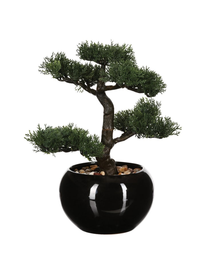 Atmosphera Créateur d'intérieur Künstlicher Bonsai-Baum in schwarz günstig kaufen onesize