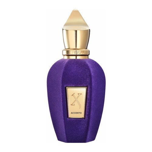 Xerjoff V Accento Eau de Parfum 100 ml