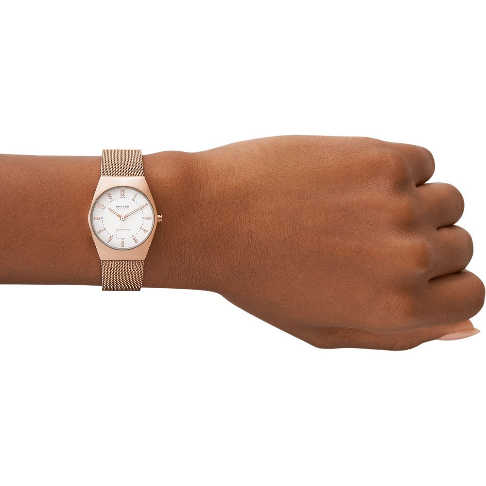 Skagen Montre pour femme Acier inoxydable Montre