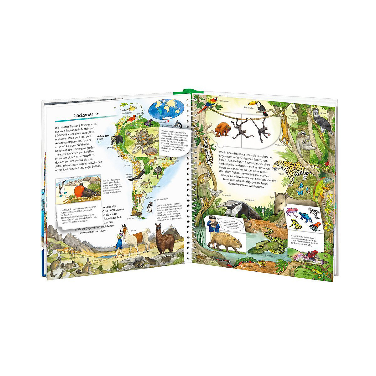WWW Mein großer Tieratlas