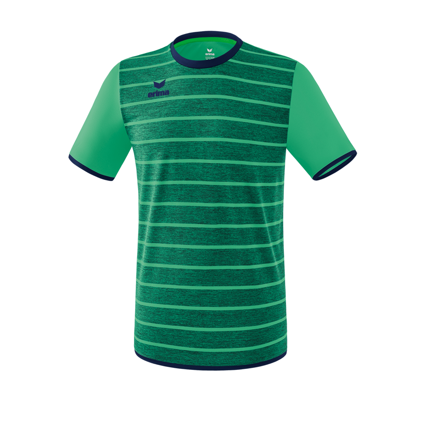Erima Roma Trikot kurzarm Grün Blau