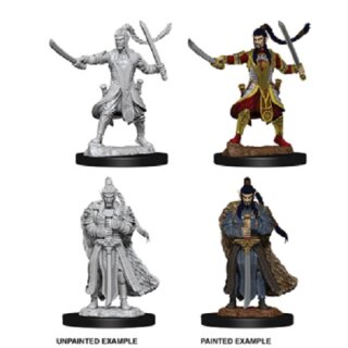 Male Elf Paladin: Nolzurs Marvelous Unpainted Miniatures