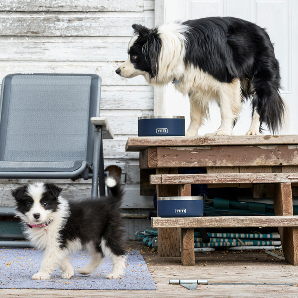 BOOMER 8 DOG BOWL - Hundezubehör