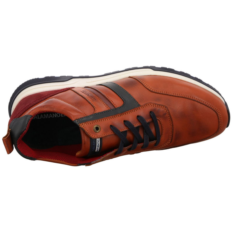 SALAMANDER Dayman Sneaker