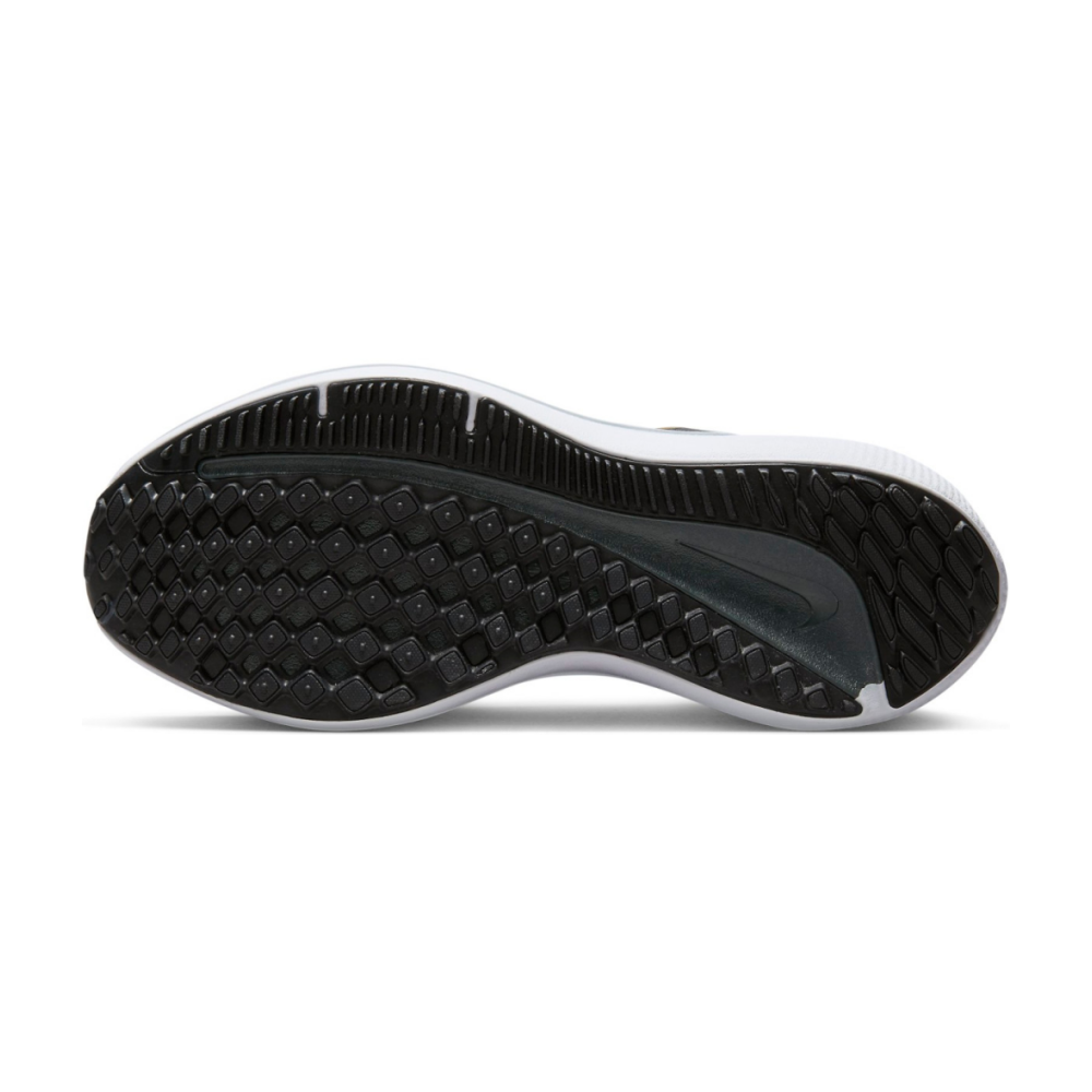 Nike Winflo 10 DV4023-005 / grau