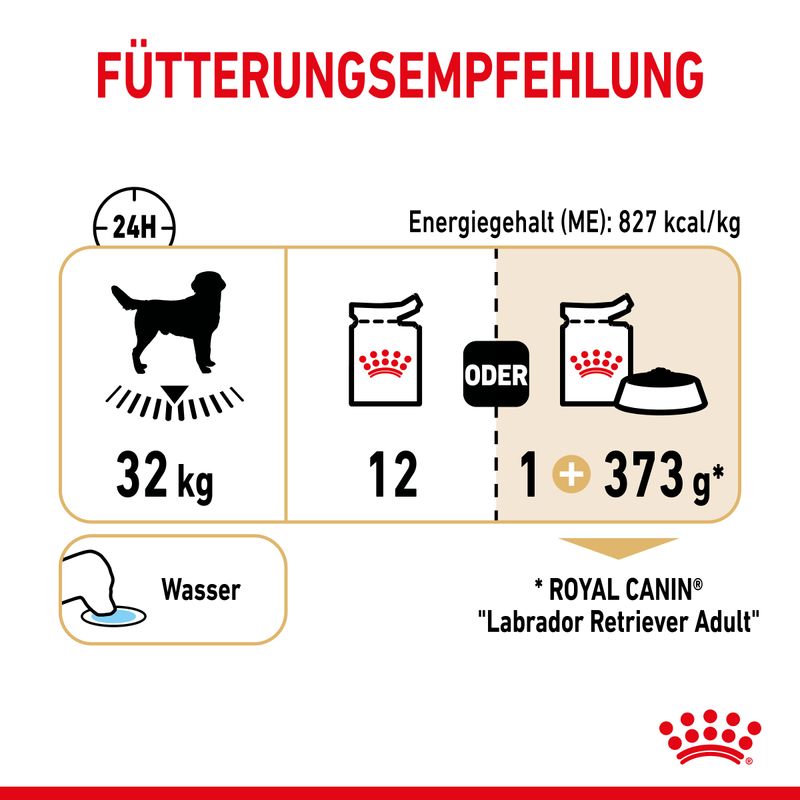 Royal Canin Labrador Retriever Adult in Soße
