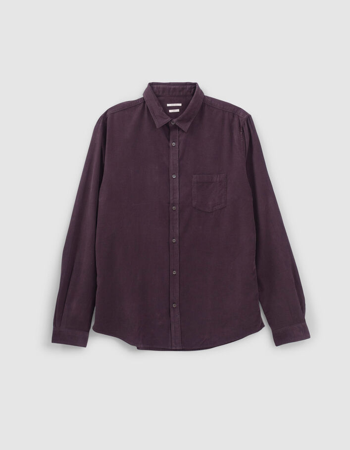 Chemise REGULAR dark plum en velours milleraies Homme