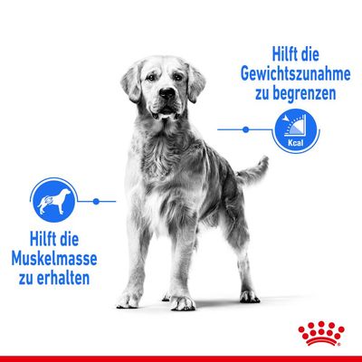 Royal Canin Medium Light Weight Care