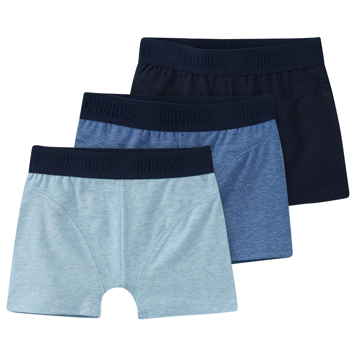 3 Jungen Boxer mit Webbund