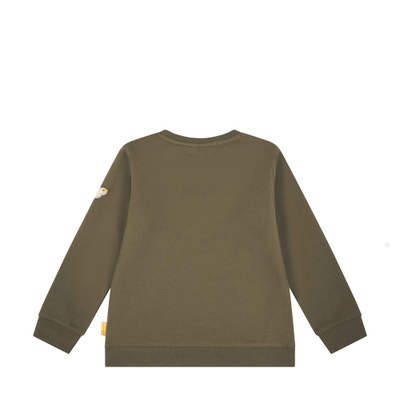 Sweatshirt, khaki für Jungs