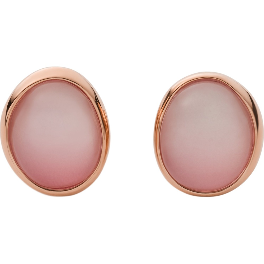 Skagen Boucles d'oreilles à fermoir à poussette Acier inoxydable Boucles d'oreilles