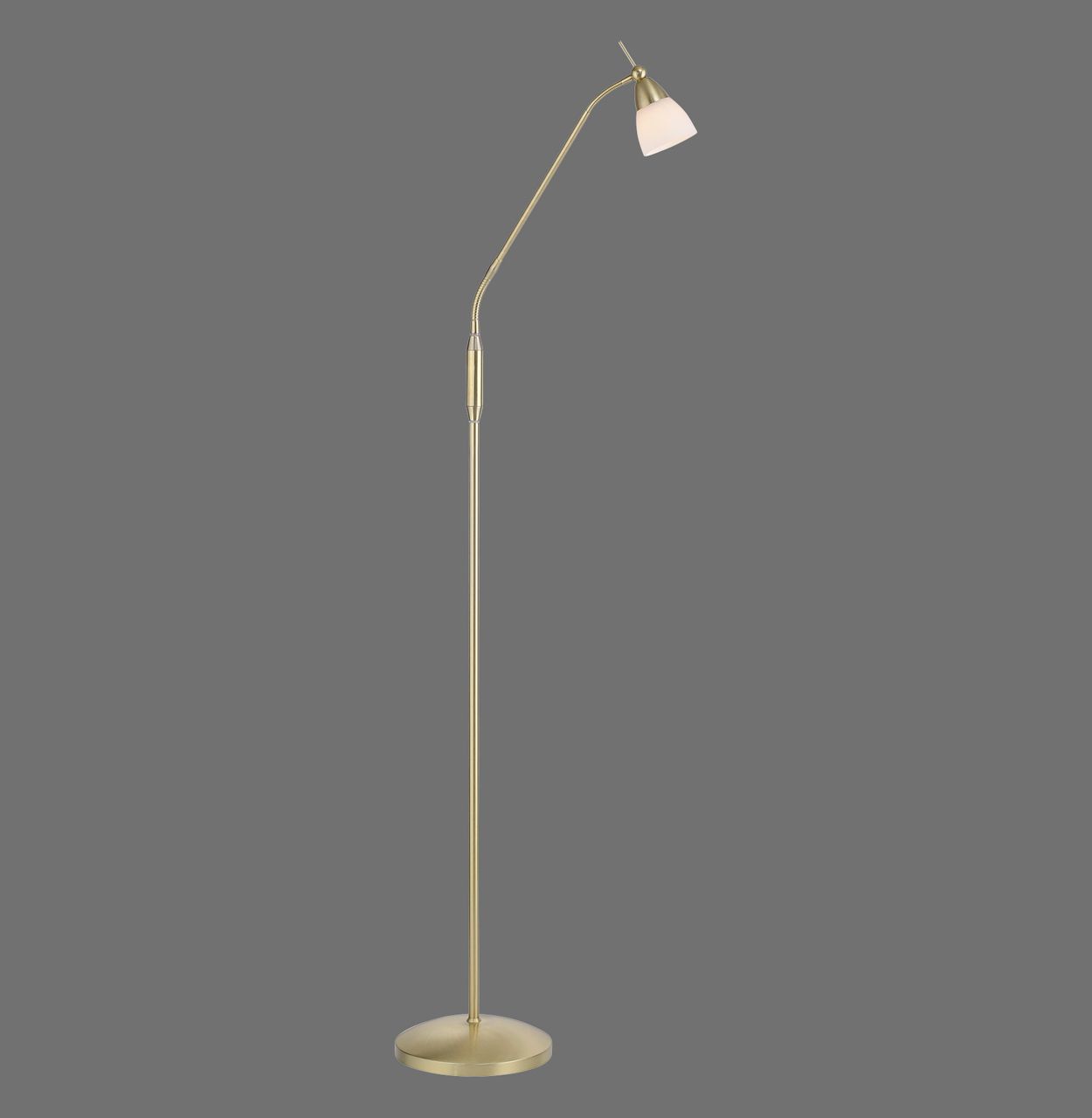 Paul Neuhaus LED Stehleuchte PINO, 1xG9/2,60Watt, 3000 Kelvin, IP20, Messing matt