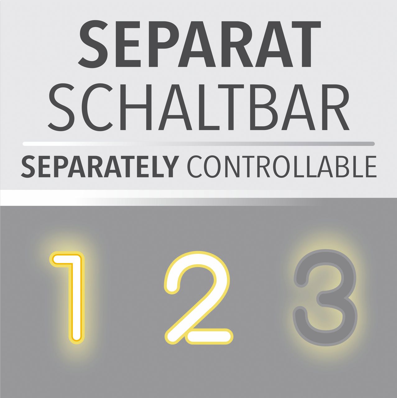 Paul Neuhaus LED Deckenleuchte ELIZA, Serienschalter, 3000 Kelvin, rund, Holz-natur
