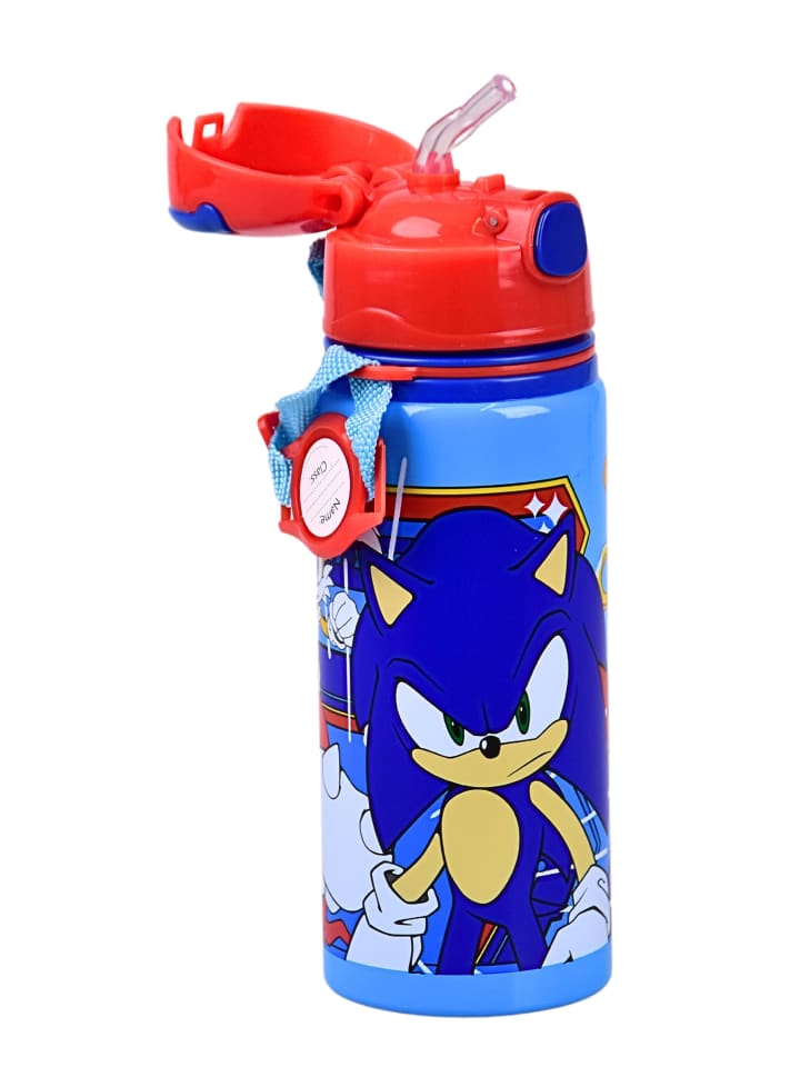 Sonic Alu-Trinkflasche Sonic The Hedgehog mit Klappdeckel & Tragegurt 600 ml in Bunt günstig kaufen 22