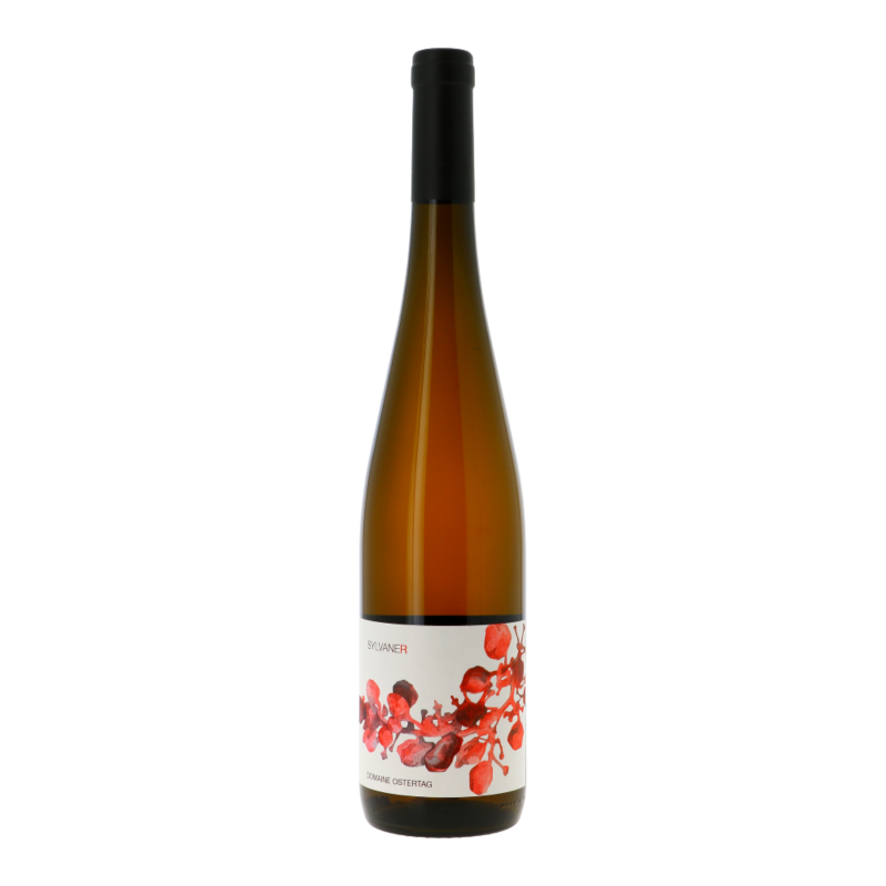 Sylvaner 2018 - Alsace Aoc - Alsace - Ostertag (75CL.)