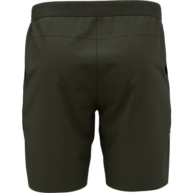 Odlo ASCENT 365 Funktionsshorts Herren