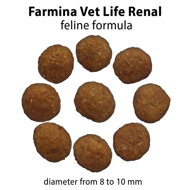 Farmina Vet Life Renal Feline zu TOP-Preisen
