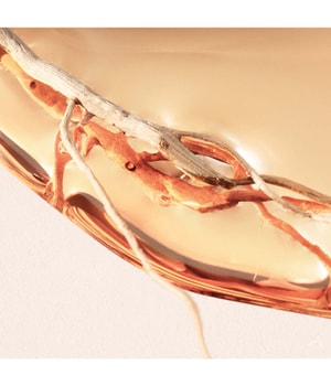 HUGO BOSS Alive Intense Eau de Parfum 50 ml