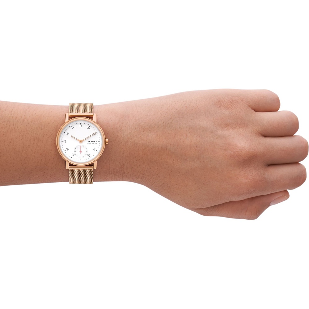 Skagen Montre pour femme Acier inoxydable Montre