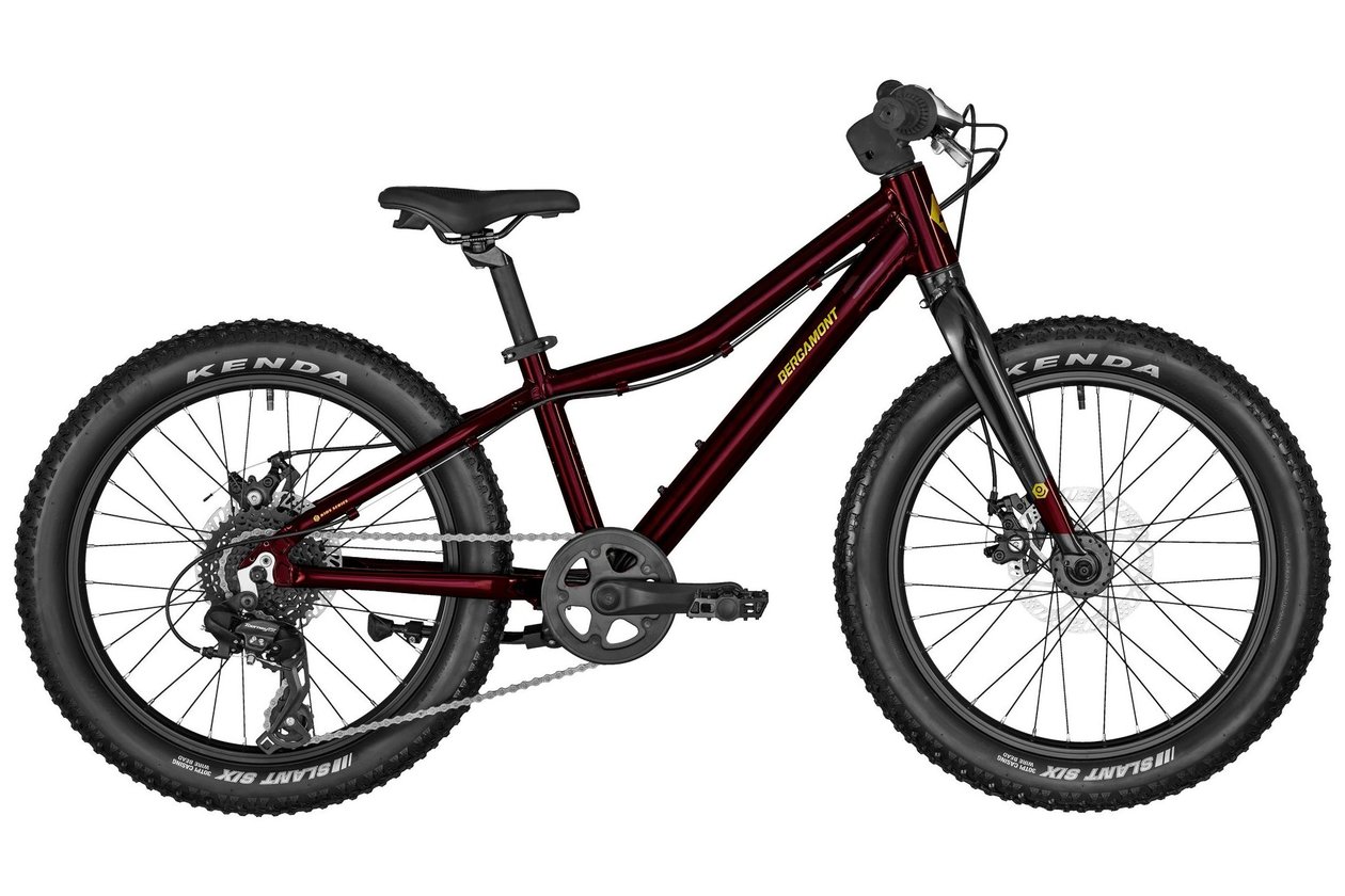 Bergamont Bergamonster 20 Plus Girl - 2022 - 20 Zoll - Diamant