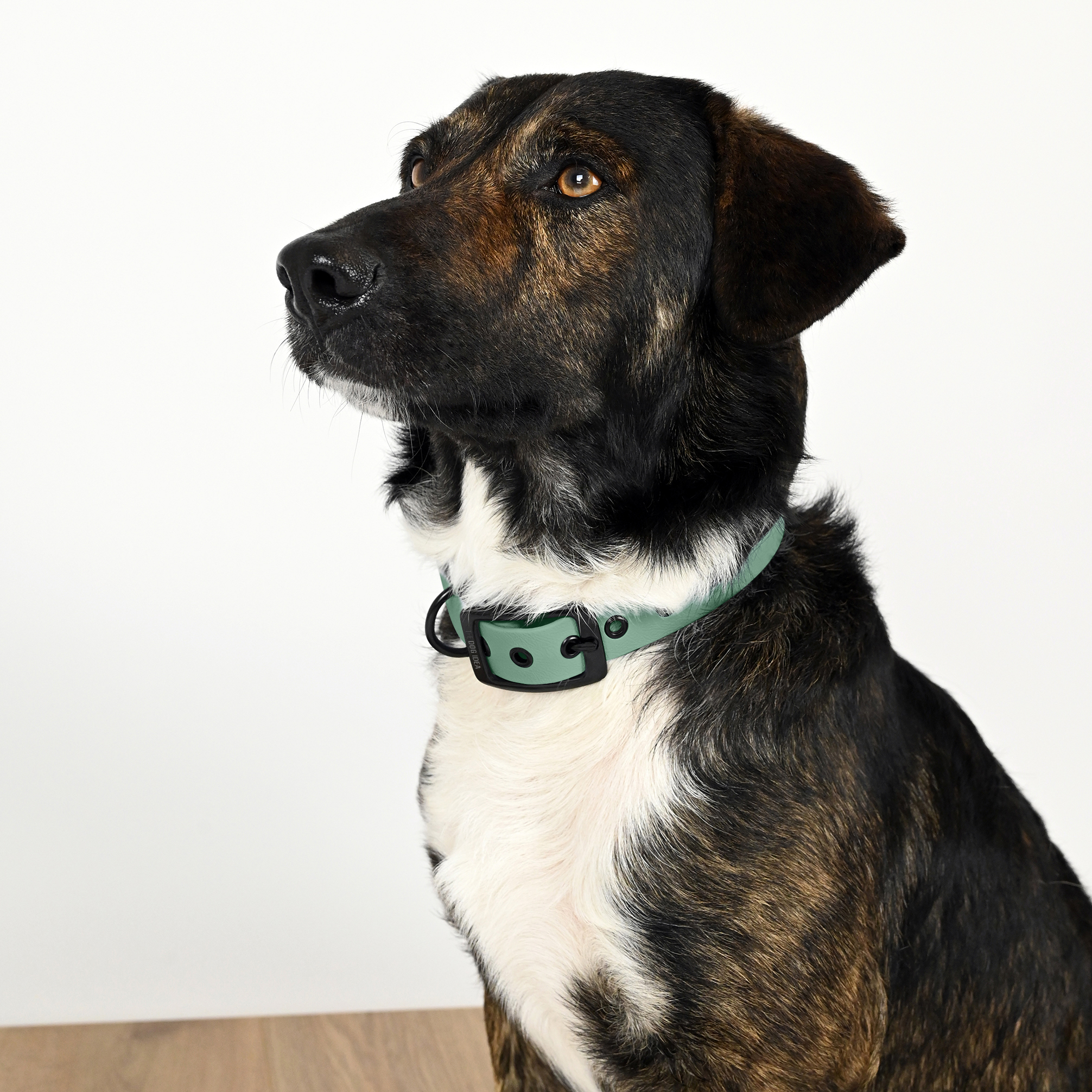 THE DOG IDEA Hundehalsbänder THE DOG IDEA Biothane Halsband Sage Schwarz XL