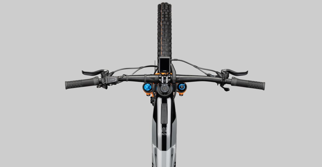 Radon Render 10.0 750 kaufen | Bike-Discount