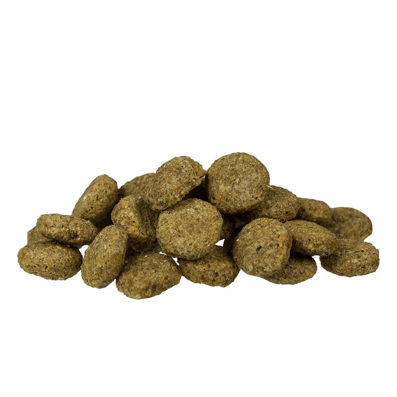 bosch Light Hundefutter zu TOP-Preisen
