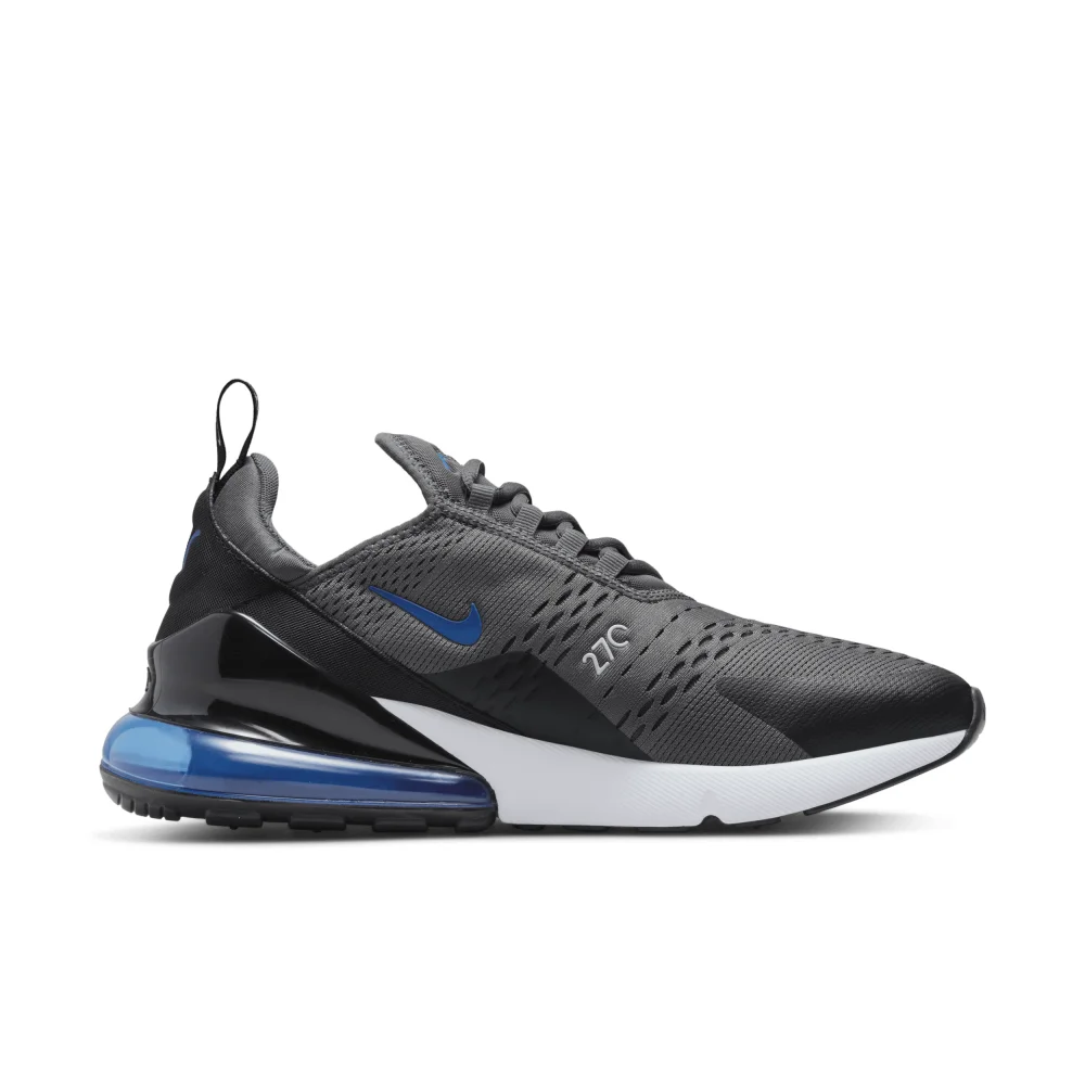 Nike Air Max 270 DV6494-001 / grau
