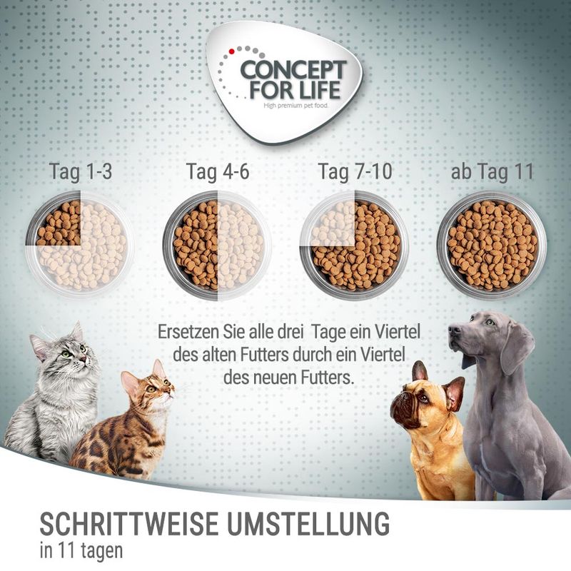 Concept for Life Large Sensitive
