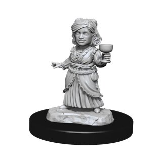 D&D Nolzur's Marvelous Miniatures - Silver Dragon Wyrmling & Female Halfling